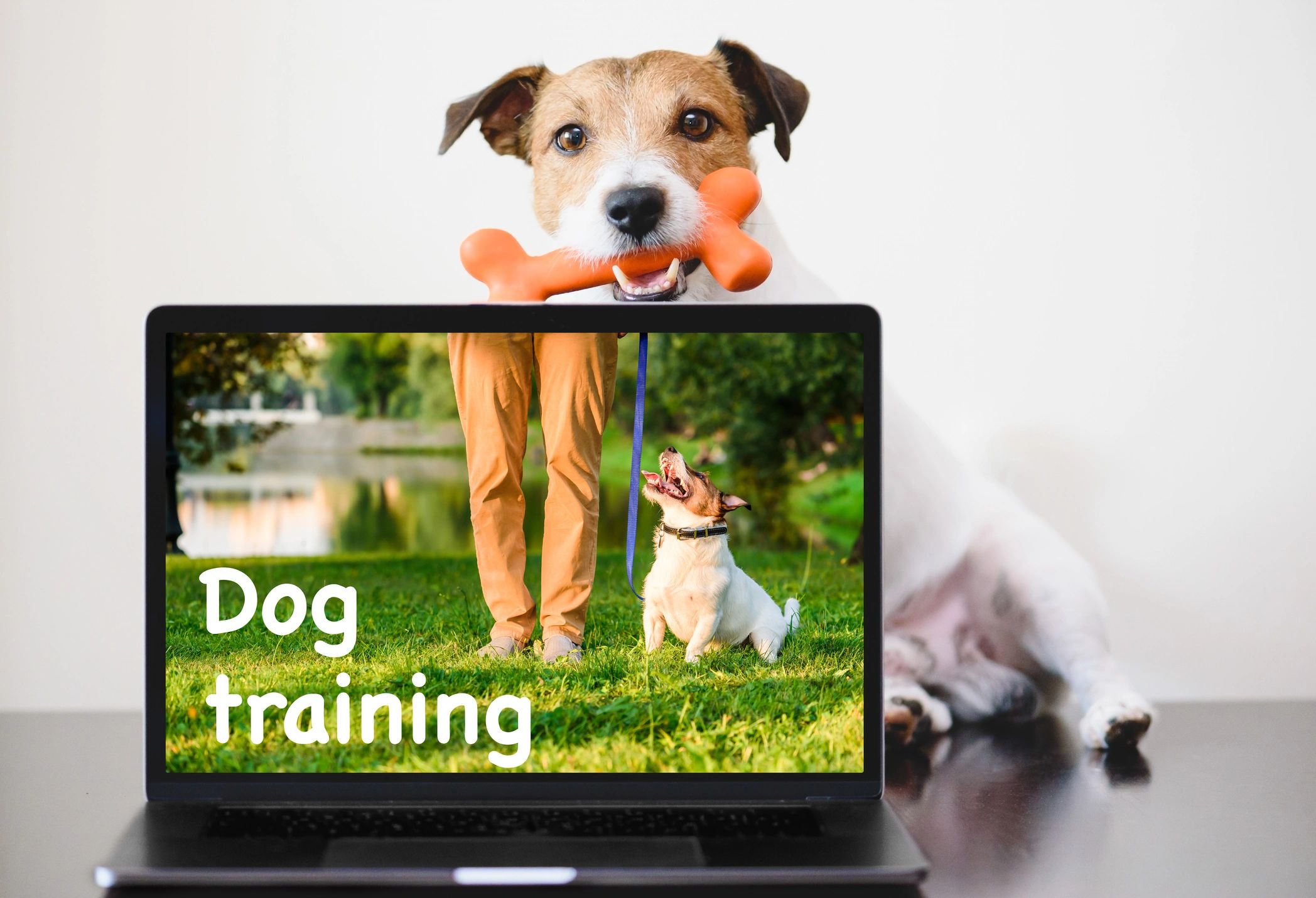 Friendly trainer with treats
